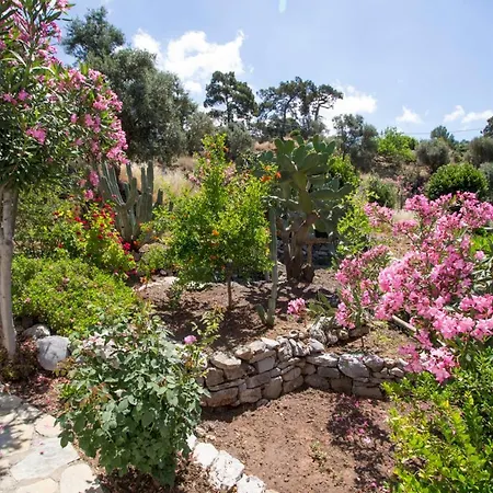 Villa Sleeps 6 With Pool Air Con And Wifi Bogazagzi